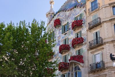 5 planes para Sant Jordi en Barcelona